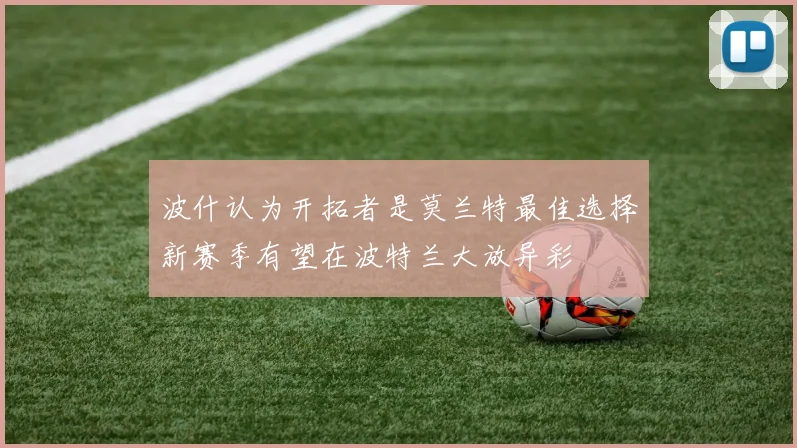 波什认为开拓者是莫兰特最佳选择新赛季有望在波特兰大放异彩